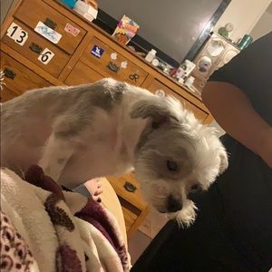 Meet your Posher, Kristin